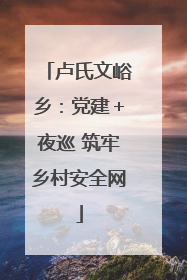 卢氏文峪乡：党建＋夜巡 筑牢乡村安全网