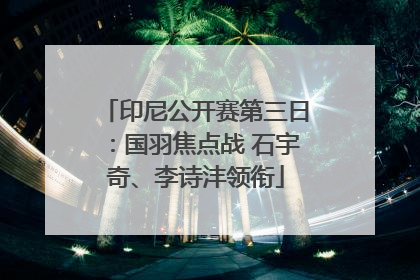 印尼公开赛第三日：国羽焦点战 石宇奇、李诗沣领衔