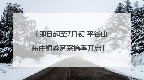 即日起至7月初 平谷山东庄镇桑葚采摘季开启