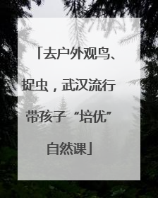去户外观鸟、捉虫，武汉流行带孩子“培优”自然课