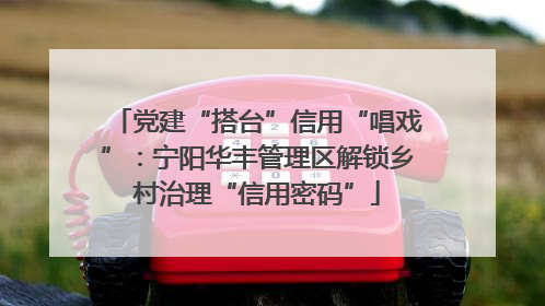 党建“搭台”信用“唱戏”：宁阳华丰管理区解锁乡村治理“信用密码”