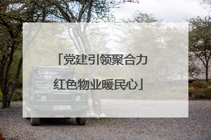 党建引领聚合力 红色物业暖民心