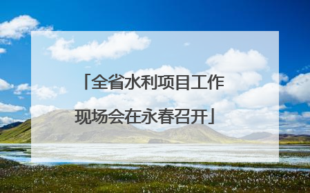 全省水利项目工作现场会在永春召开