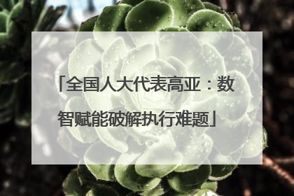 全国人大代表高亚：数智赋能破解执行难题