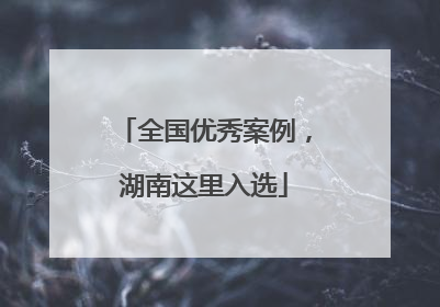 全国优秀案例，湖南这里入选