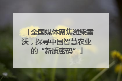 全国媒体聚焦潍柴雷沃，探寻中国智慧农业的“新质密码”
