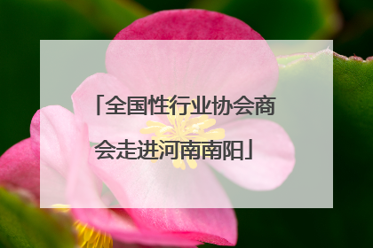 全国性行业协会商会走进河南南阳