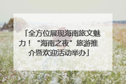全方位展现海南旅文魅力！“海南之夜”旅游推介暨欢迎活动举办