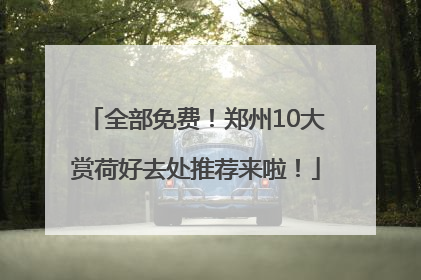 全部免费！郑州10大赏荷好去处推荐来啦！