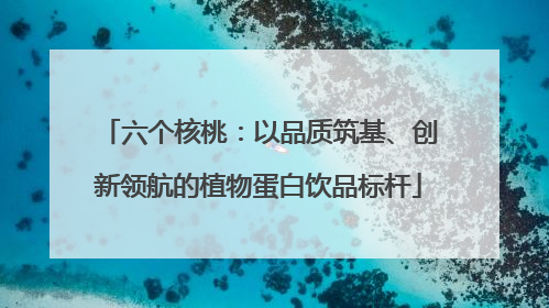 六个核桃：以品质筑基、创新领航的植物蛋白饮品标杆