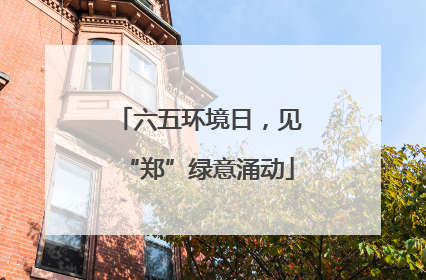 六五环境日，见“郑”绿意涌动