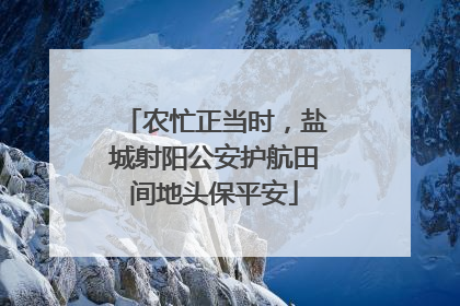 农忙正当时，盐城射阳公安护航田间地头保平安