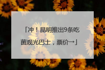 冲！昆明推出9条吃菌观光巴士，票价→