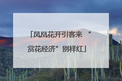 凤凰花开引客来 “赏花经济”别样红