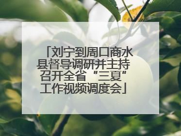 刘宁到周口商水县督导调研并主持召开全省“三夏”工作视频调度会