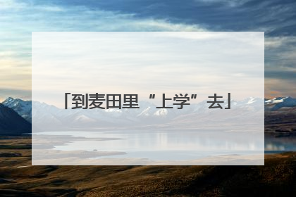 到麦田里“上学”去