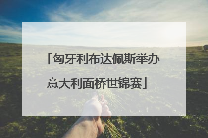 匈牙利布达佩斯举办意大利面桥世锦赛