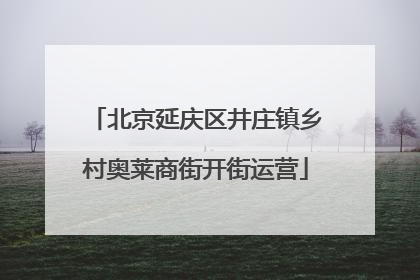 北京延庆区井庄镇乡村奥莱商街开街运营