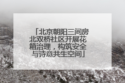 北京朝阳三间房北双桥社区开展花箱治理，构筑安全与诗意共生空间