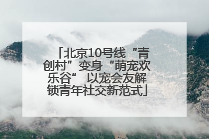 北京10号线“青创村”变身“萌宠欢乐谷” 以宠会友解锁青年社交新范式