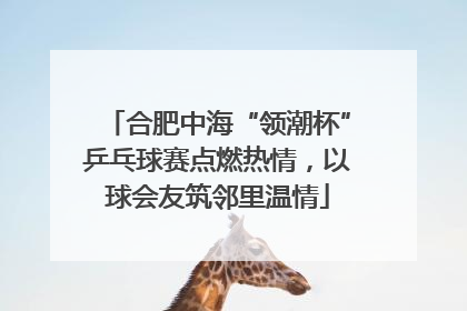合肥中海“领潮杯”乒乓球赛点燃热情，以球会友筑邻里温情