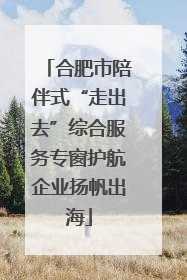 合肥市陪伴式“走出去”综合服务专窗护航企业扬帆出海