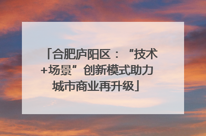 合肥庐阳区：“技术+场景”创新模式助力城市商业再升级