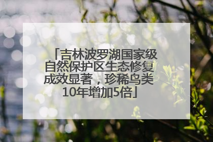 吉林波罗湖国家级自然保护区生态修复成效显著，珍稀鸟类10年增加5倍