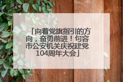 向着党旗指引的方向，奋勇前进！句容市公安机关庆祝建党104周年大会