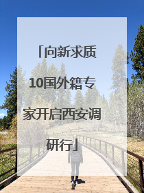向新求质 10国外籍专家开启西安调研行