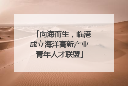 向海而生，临港成立海洋高新产业青年人才联盟