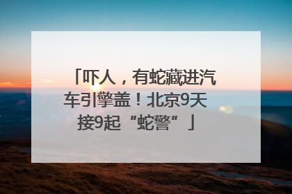 吓人，有蛇藏进汽车引擎盖！北京9天接9起“蛇警”