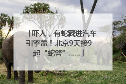 吓人，有蛇藏进汽车引擎盖！北京9天接9起“蛇警”……