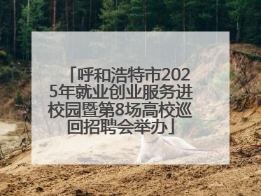 呼和浩特市2025年就业创业服务进校园暨第8场高校巡回招聘会举办