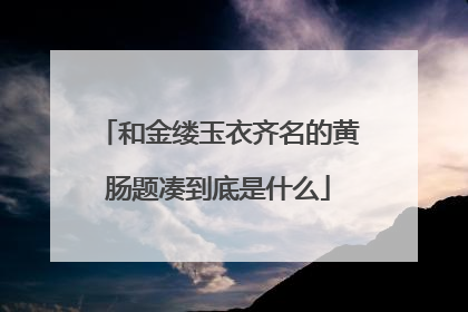 和金缕玉衣齐名的黄肠题凑到底是什么