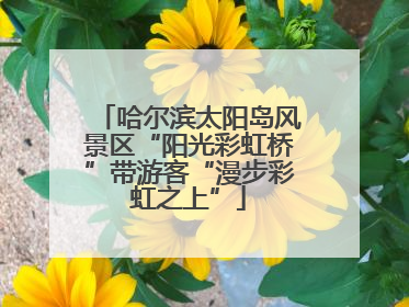 哈尔滨太阳岛风景区“阳光彩虹桥”带游客“漫步彩虹之上”