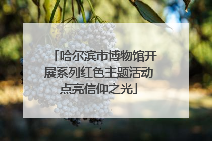 哈尔滨市博物馆开展系列红色主题活动点亮信仰之光
