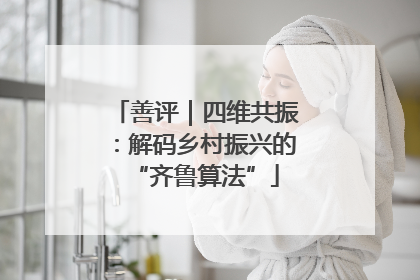 善评｜四维共振：解码乡村振兴的“齐鲁算法”