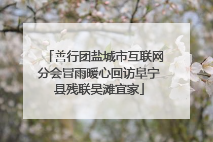 善行团盐城市互联网分会冒雨暖心回访阜宁县残联吴滩宜家