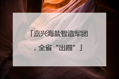 嘉兴海盐智造军团，全省“出圈”