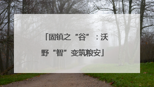 固镇之“谷”：沃野“智”变筑粮安