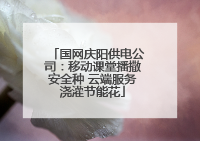 国网庆阳供电公司：移动课堂播撒安全种 云端服务浇灌节能花