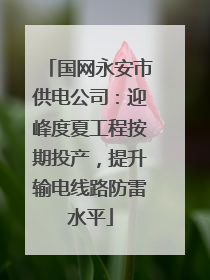 国网永安市供电公司:迎峰度夏工程按期投产,提升输电线路防雷水平