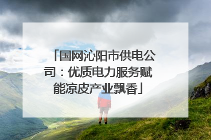 国网沁阳市供电公司：优质电力服务赋能凉皮产业飘香