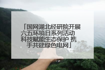 国网湖北经研院开展六五环境日系列活动 科技赋能生态保护 携手共建绿色电网