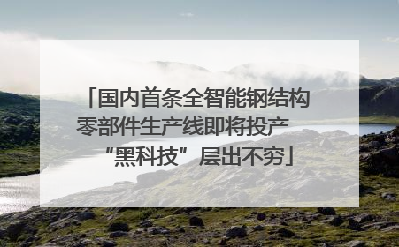 国内首条全智能钢结构零部件生产线即将投产 “黑科技”层出不穷