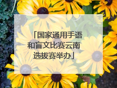 国家通用手语和盲文比赛云南选拔赛举办