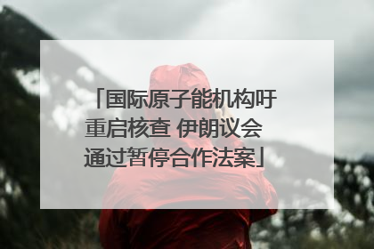 国际原子能机构吁重启核查 伊朗议会通过暂停合作法案