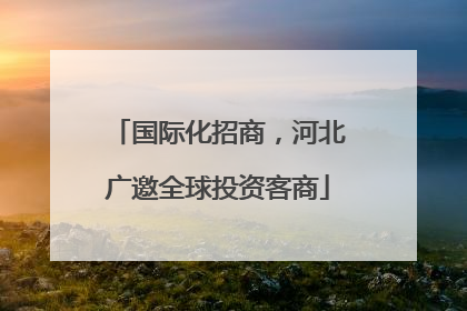 国际化招商，河北广邀全球投资客商