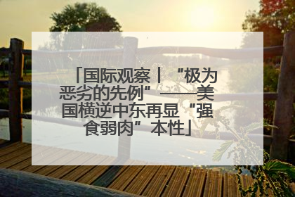 国际观察丨“极为恶劣的先例”——美国横逆中东再显“强食弱肉”本性